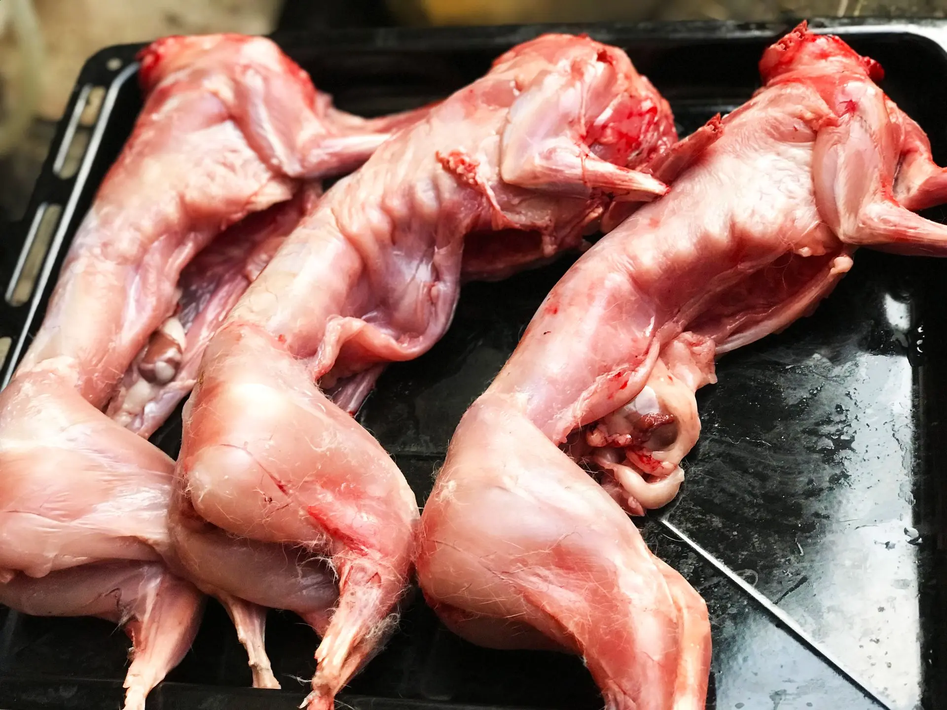 rabbit meat, white meat